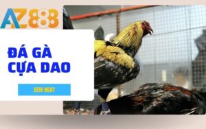 Hướng Dẫn Cách Chơi Đá Gà Cựa Dao Tại AZ888 Chi Tiết Cho Người Mới